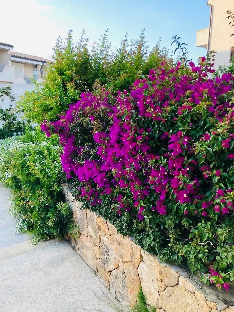 Lotus Wellness Apartment - Resort Ginestre - Palau - Sardinia